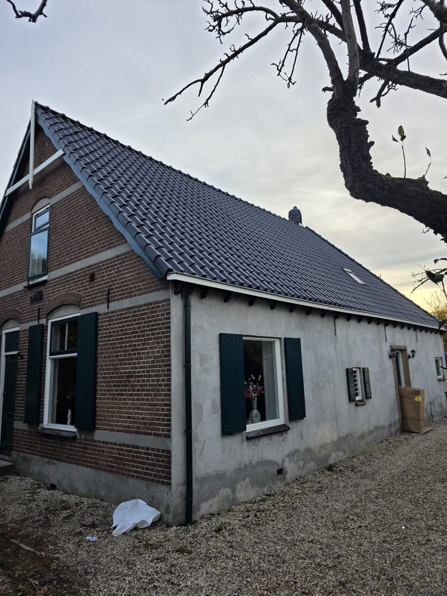 Dakrenovatie